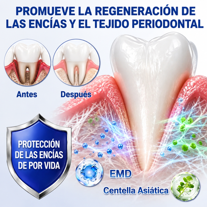 Pureluxo® 🦷Gel reparador periodontal GumRevive🔥