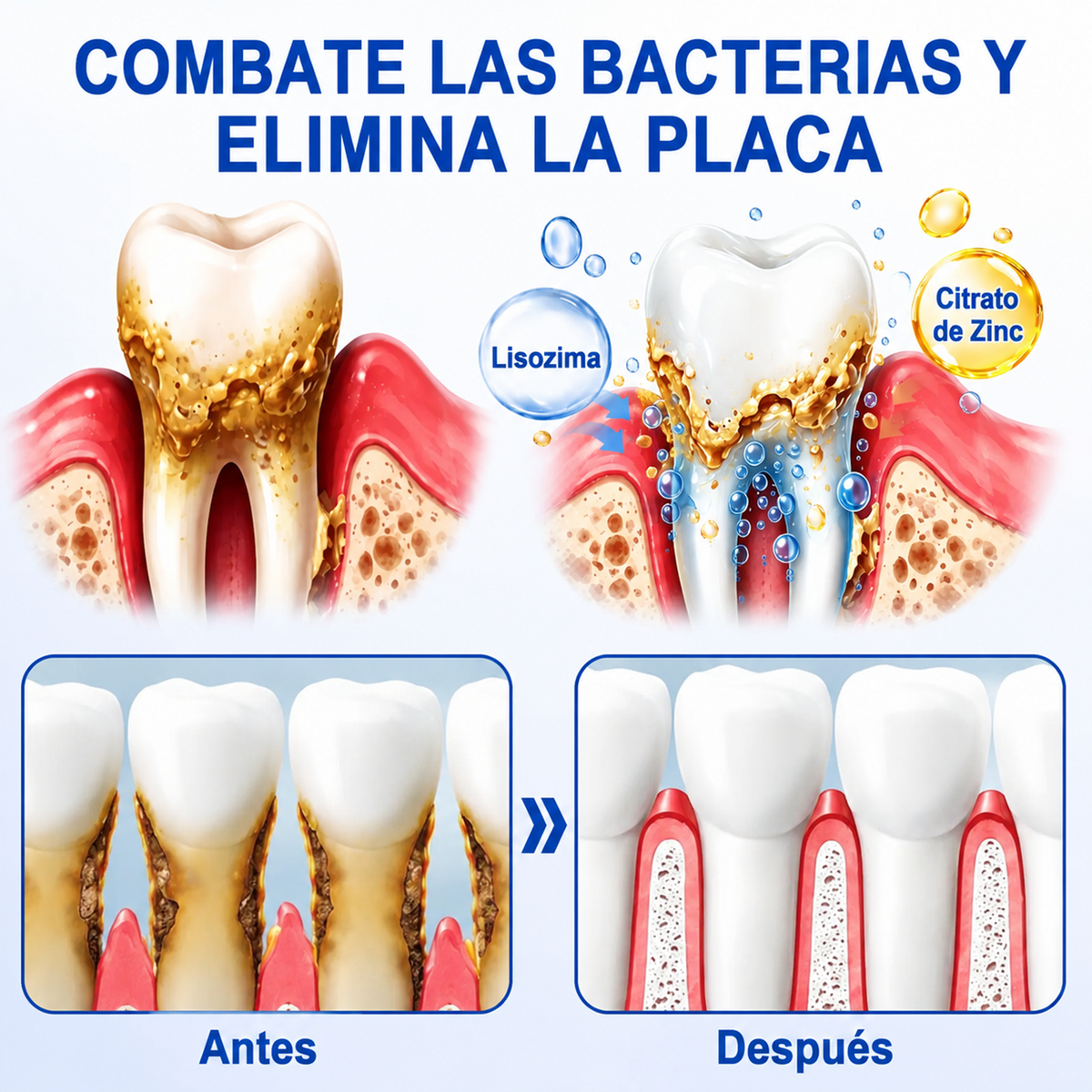 Pureluxo® 🦷Gel reparador periodontal GumRevive🔥